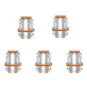 Geekvape resistenza mesh G Series Coil - 5pz