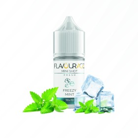 FREEZY MINT MINISHOT 10ML FLAVOURAGE